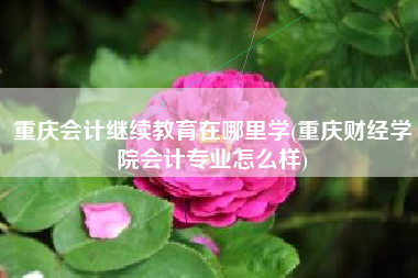 详细阅读:重庆会计继续教育在哪里学(重庆财经学院会计专业怎么样) 重庆会计继续教育在哪里学(重庆财经学院会计专业怎么样)