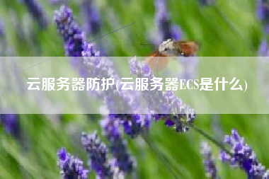 详细阅读:云服务器防护(云服务器ECS是什么) 云服务器防护(云服务器ECS是什么)