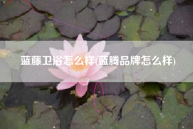 详细阅读:蓝藤卫浴怎么样(蓝腾品牌怎么样) 蓝藤卫浴怎么样(蓝腾品牌怎么样)