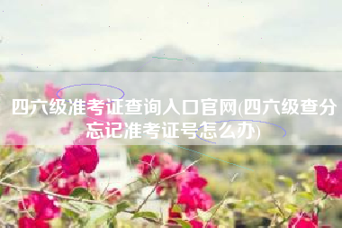 详细阅读:四六级准考证查询入口官网(四六级查分忘记准考证号怎么办) 四六级准考证查询入口官网(四六级查分忘记准考证号怎么办)