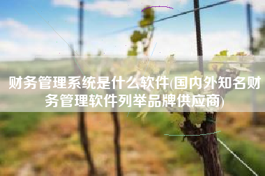 财务管理系统是什么软件(国内外知名财务管理软件列举品牌供应商)