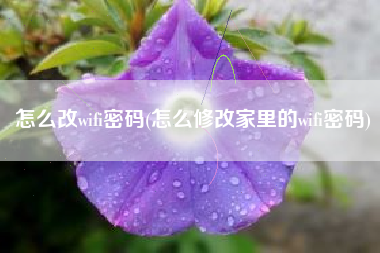怎么改wifi密码(怎么修改家里的wifi密码)