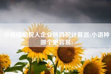小规模纳税人企业所得税计算器(小语种哪个更容易)