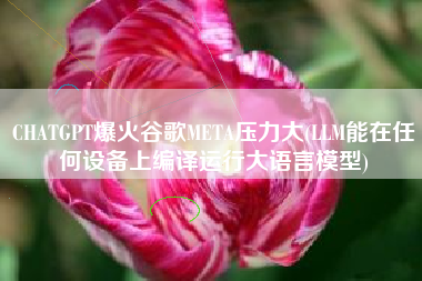 CHATGPT爆火谷歌META压力大(LLM能在任何设备上编译运行大语言模型)