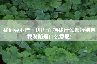 我们要不惜一切代价(挡我什么都行别挡我财路是什么意思)
