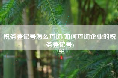 详细阅读:税务登记号怎么查询(如何查询企业的税务登记号) 税务登记号怎么查询(如何查询企业的税务登记号)