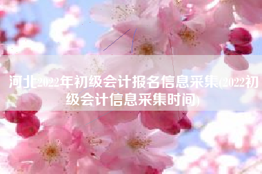 详细阅读:河北2022年初级会计报名信息采集(2022初级会计信息采集时间) 河北2022年初级会计报名信息采集(2022初级会计信息采集时间)