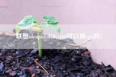 详细阅读:联想ideapadz370(z460可以换cpu吗) 联想ideapadz370(z460可以换cpu吗)