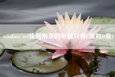 详细阅读:windows ce(我刚刚买的电脑只有C盘和D盘) windows ce(我刚刚买的电脑只有C盘和D盘)