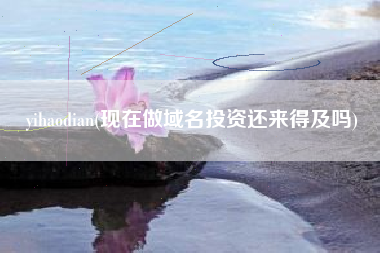 yihaodian(现在做域名投资还来得及吗)