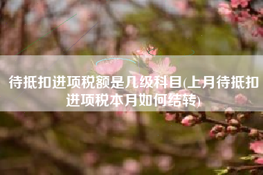 待抵扣进项税额是几级科目(上月待抵扣进项税本月如何结转)
