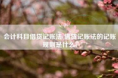 会计科目借贷记账法(借贷记账法的记账规则是什么)