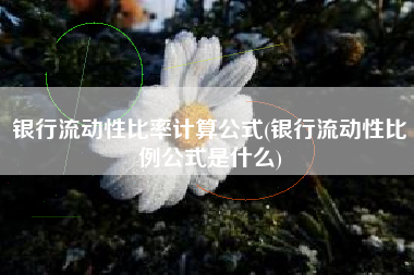 银行流动性比率计算公式(银行流动性比例公式是什么)