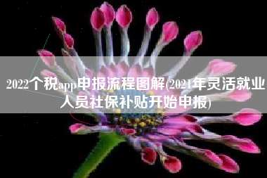 详细阅读:2022个税app申报流程图解(2021年灵活就业人员社保补贴开始申报) 2022个税app申报流程图解(2021年灵活就业人员社保补贴开始申报)