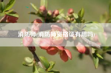 详细阅读:消防师(消防师资格证有用吗) 消防师(消防师资格证有用吗)