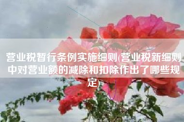 详细阅读:营业税暂行条例实施细则(营业税新细则中对营业额的减除和扣除作出了哪些规定) 营业税暂行条例实施细则(营业税新细则中对营业额的减除和扣除作出了哪些规定)