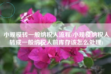 详细阅读:小规模转一般纳税人流程(小规模纳税人转成一般纳税人前库存该怎么处理) 小规模转一般纳税人流程(小规模纳税人转成一般纳税人前库存该怎么处理)