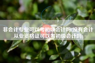 非会计专业可以考初级会计吗(没有会计从业资格证可以考初级会计吗)