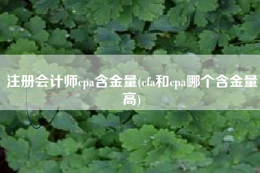 注册会计师cpa含金量(cfa和cpa哪个含金量高)