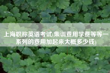 详细阅读:上海职称英语考试(集训费用学费等等一系列的费用加起来大概多少钱) 上海职称英语考试(集训费用学费等等一系列的费用加起来大概多少钱)