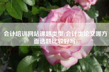 会计培训网站课题类型(会计类论文哪方面选题比较好写)