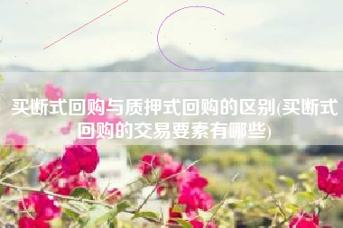 买断式回购与质押式回购的区别(买断式回购的交易要素有哪些)