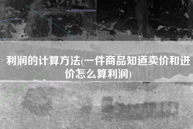 利润的计算方法(一件商品知道卖价和进价怎么算利润)
