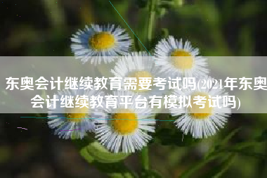 东奥会计继续教育需要考试吗(2021年东奥会计继续教育平台有模拟考试吗)