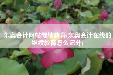 东奥会计网站继续教育(东奥会计在线的继续教育怎么记分)
