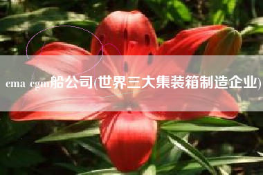 cma cgm船公司(世界三大集装箱制造企业)