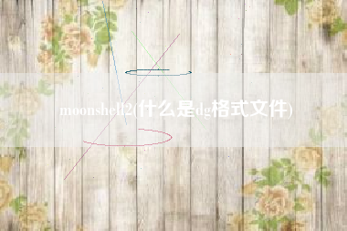 moonshell2(什么是dg格式文件)