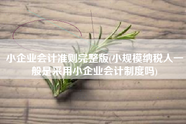 小企业会计准则完整版(小规模纳税人一般是采用小企业会计制度吗)
