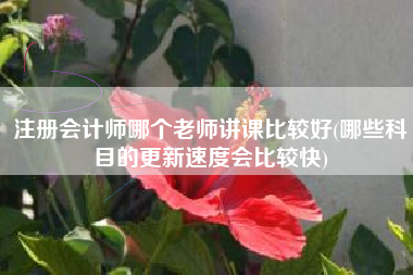注册会计师哪个老师讲课比较好(哪些科目的更新速度会比较快)