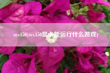 mx450(mx450显卡能运行什么游戏)