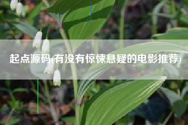 起点源码(有没有惊悚悬疑的电影推荐)