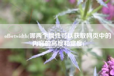 offsetwidth(哪两个属性可以获取网页中的内容的高度和宽度)