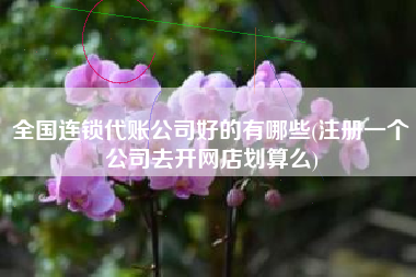 全国连锁代账公司好的有哪些(注册一个公司去开网店划算么)