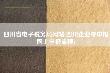 四川省电子税务局网站(四川企业零申报网上申报流程)