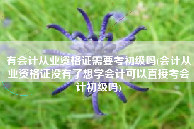 有会计从业资格证需要考初级吗(会计从业资格证没有了想学会计可以直接考会计初级吗)