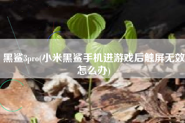 黑鲨3pro(小米黑鲨手机进游戏后触屏无效怎么办)