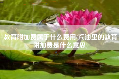 教育附加费属于什么费用(汽油里的教育附加费是什么意思)