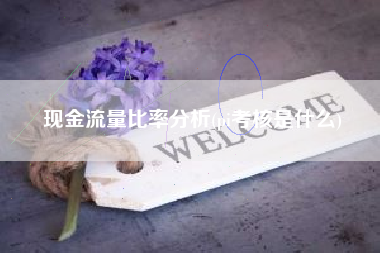 现金流量比率分析(pi考核是什么)