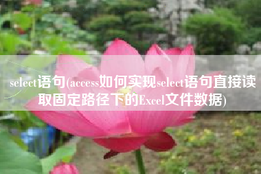 select语句(access如何实现select语句直接读取固定路径下的Excel文件数据)