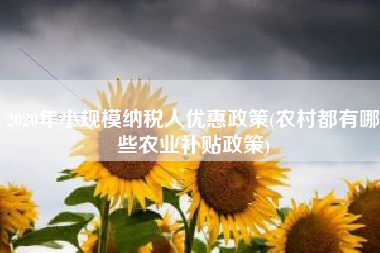 2020年小规模纳税人优惠政策(农村都有哪些农业补贴政策)
