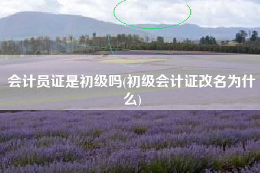 会计员证是初级吗(初级会计证改名为什么)