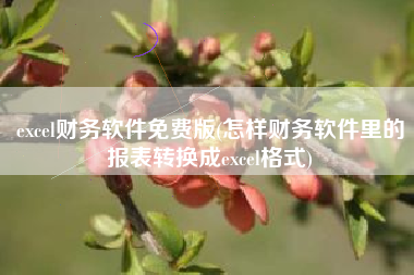 excel财务软件免费版(怎样财务软件里的报表转换成excel格式)