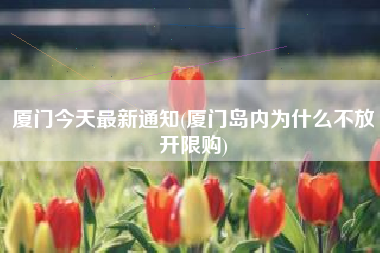 详细阅读:厦门今天最新通知(厦门岛内为什么不放开限购) 厦门今天最新通知(厦门岛内为什么不放开限购)