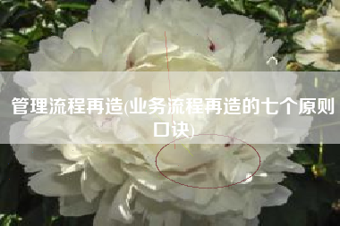 详细阅读:管理流程再造(业务流程再造的七个原则口诀) 管理流程再造(业务流程再造的七个原则口诀)