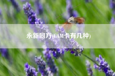 详细阅读:永新同方(CAM卡有几种) 永新同方(CAM卡有几种)