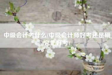 中级会计考什么(中级会计师好考还是研究生好考)